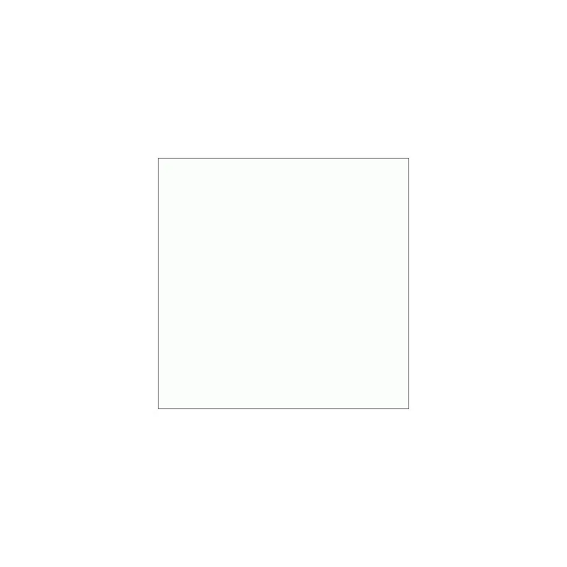 Kaldewei baignoire acier émaillé  Ambiente  Puro 683 1600x700mm: 258300010001