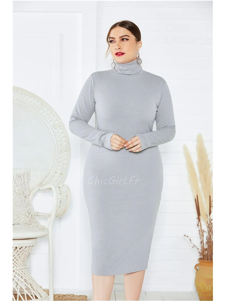 Robe Pull Argentée Femme Ronde Fourreau Manche Longue Col Montant
